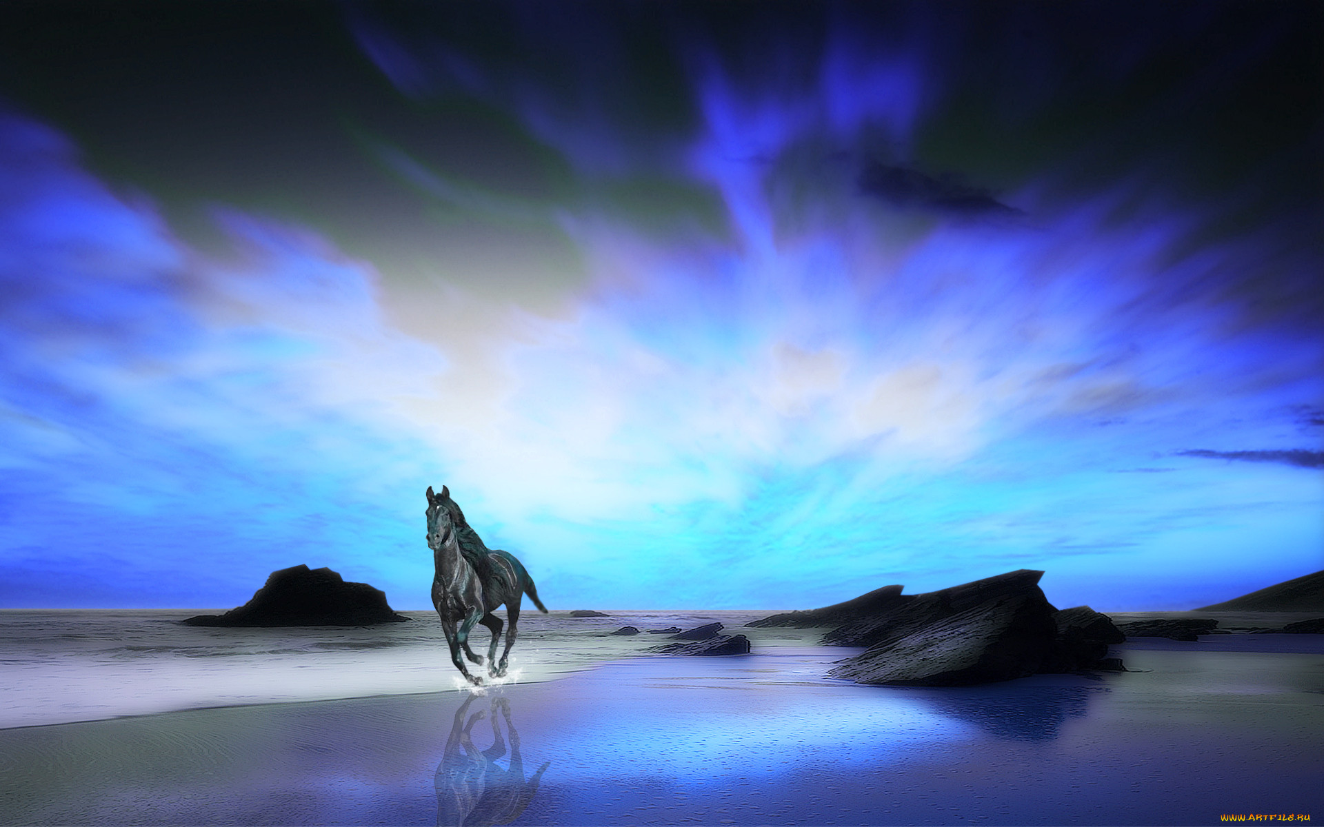 3, , animals, , , , , 